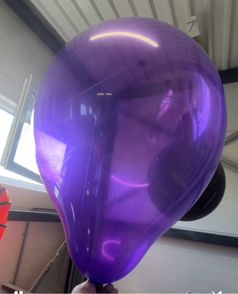 WB24 SN Purple