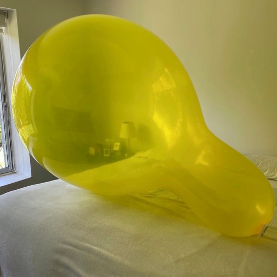RAB55 Yellow