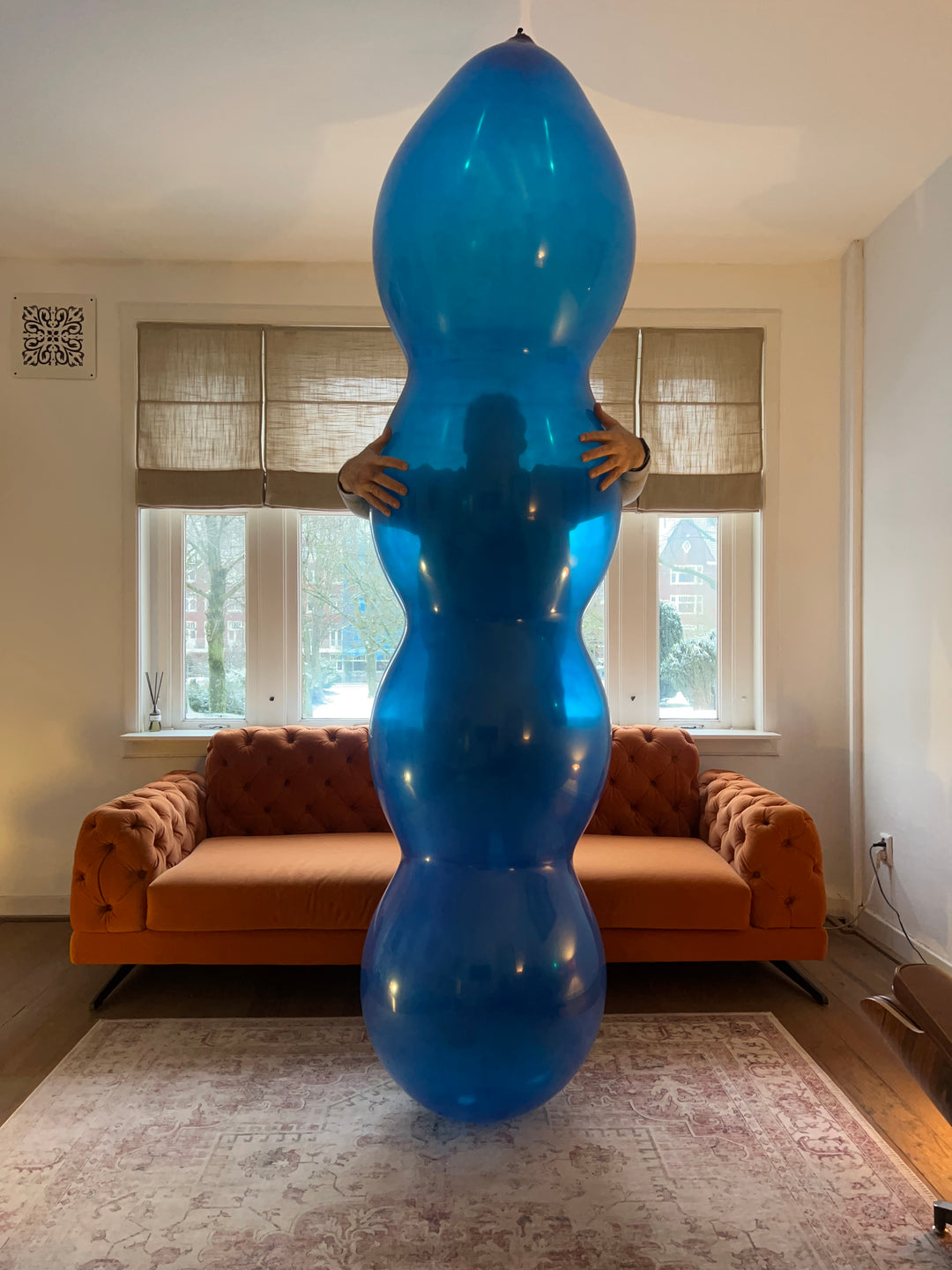 Crowdfunding formers for the RibShip