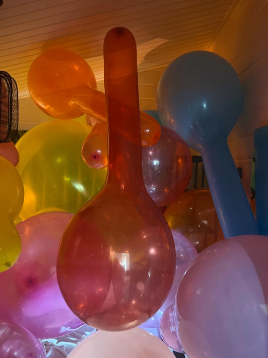 WB20 XLN Crystal Red