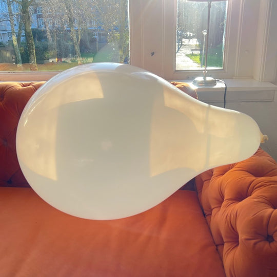 WB20 SN Pastel White