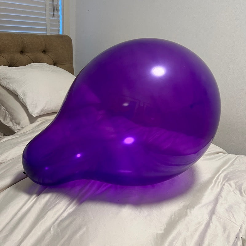 WB24 SN Purple