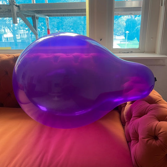 WB24 SN Purple