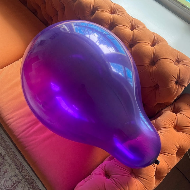 WB24 SN Purple