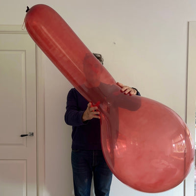 WB28 LN Burgundy_ limited addition