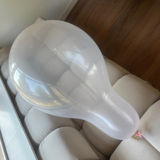 WB28 SN Soap variety pack
