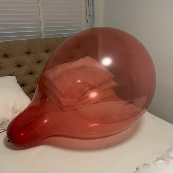 WB28 SN Burgundy_ limited addition