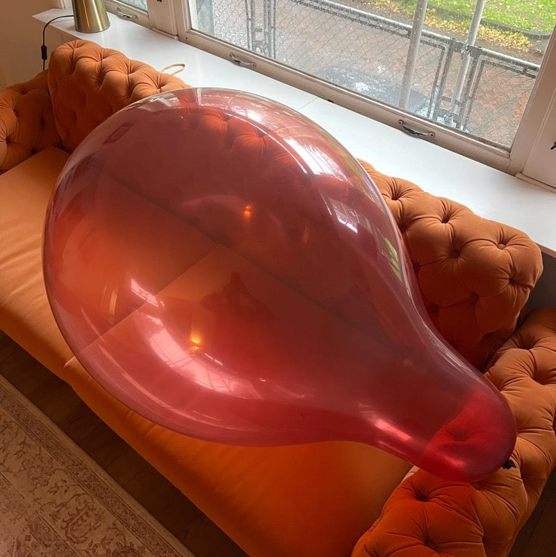 WB28 SN Burgundy_ limited addition