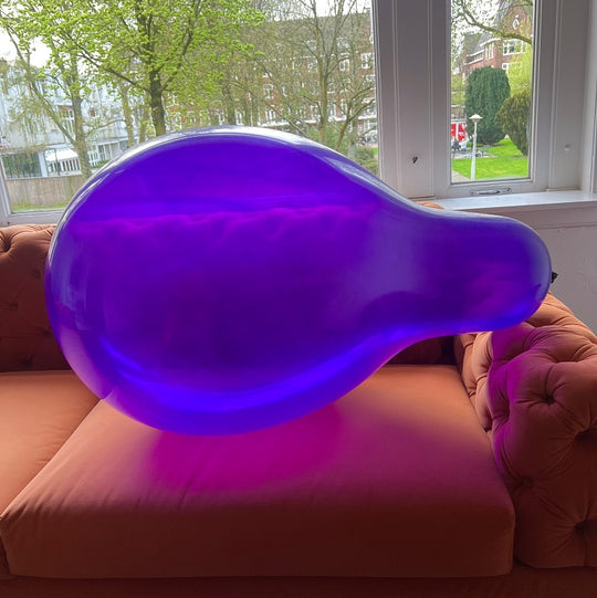 WB28 SN Crystal Purple